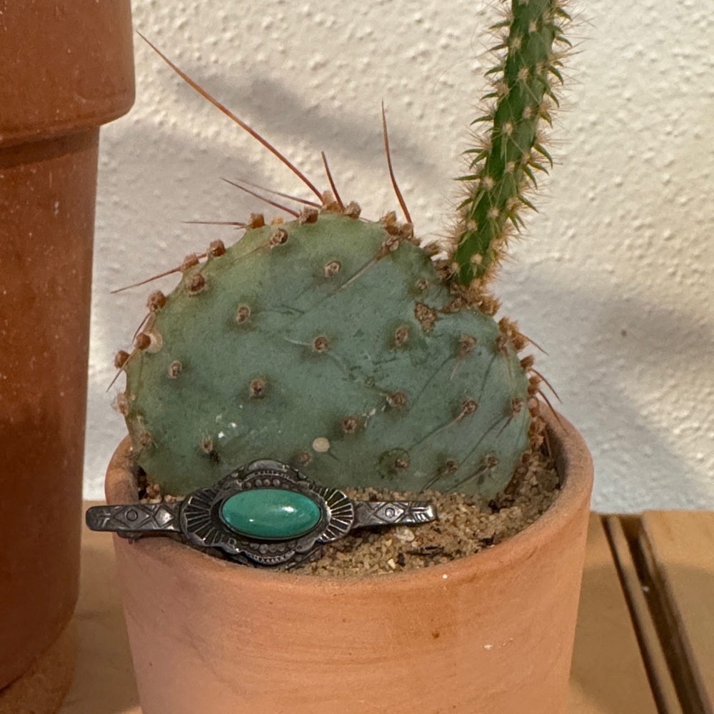 Fred Harvey Turquoise and Silver brooch